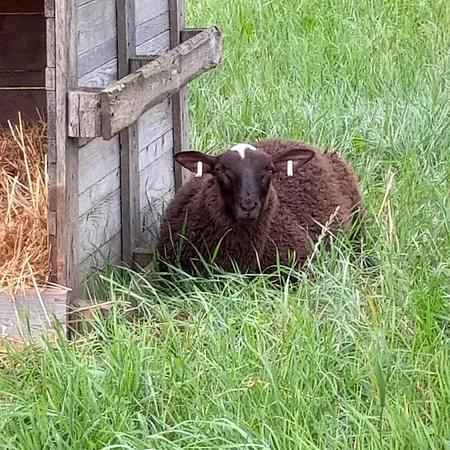 度假居 Riverside *