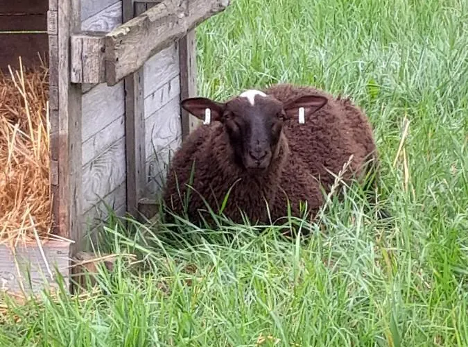 Casa de Férias Riverside *